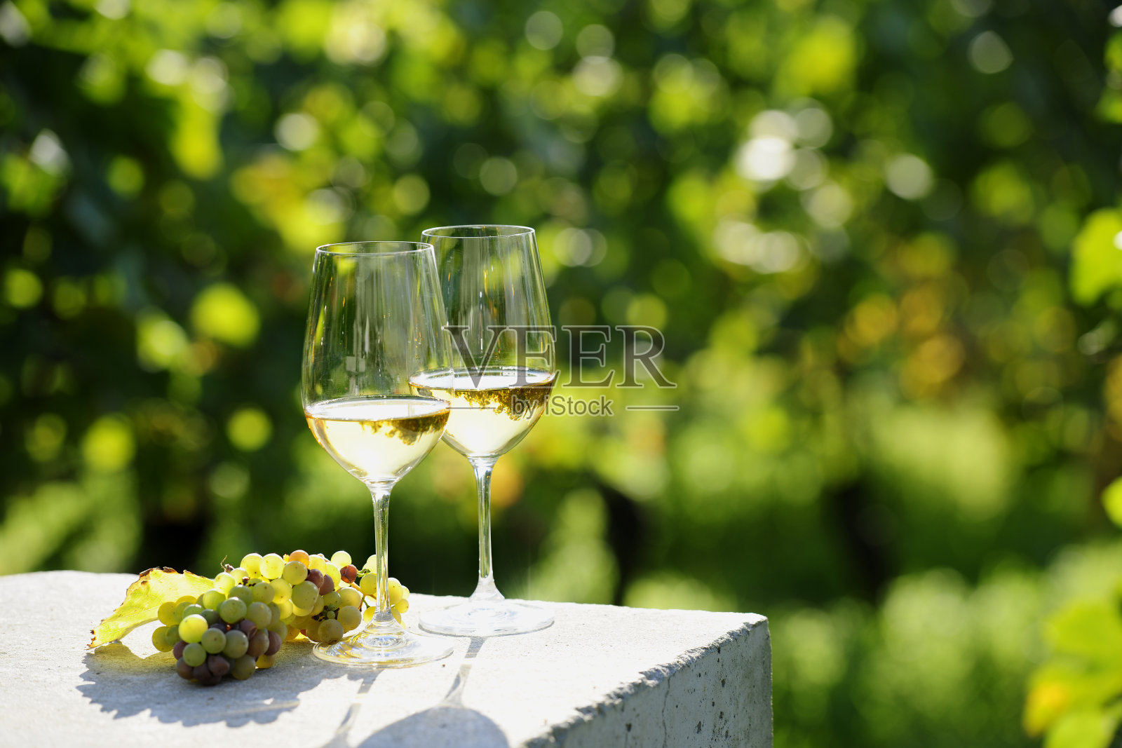 葡萄园里的两杯白葡萄酒照片摄影图片