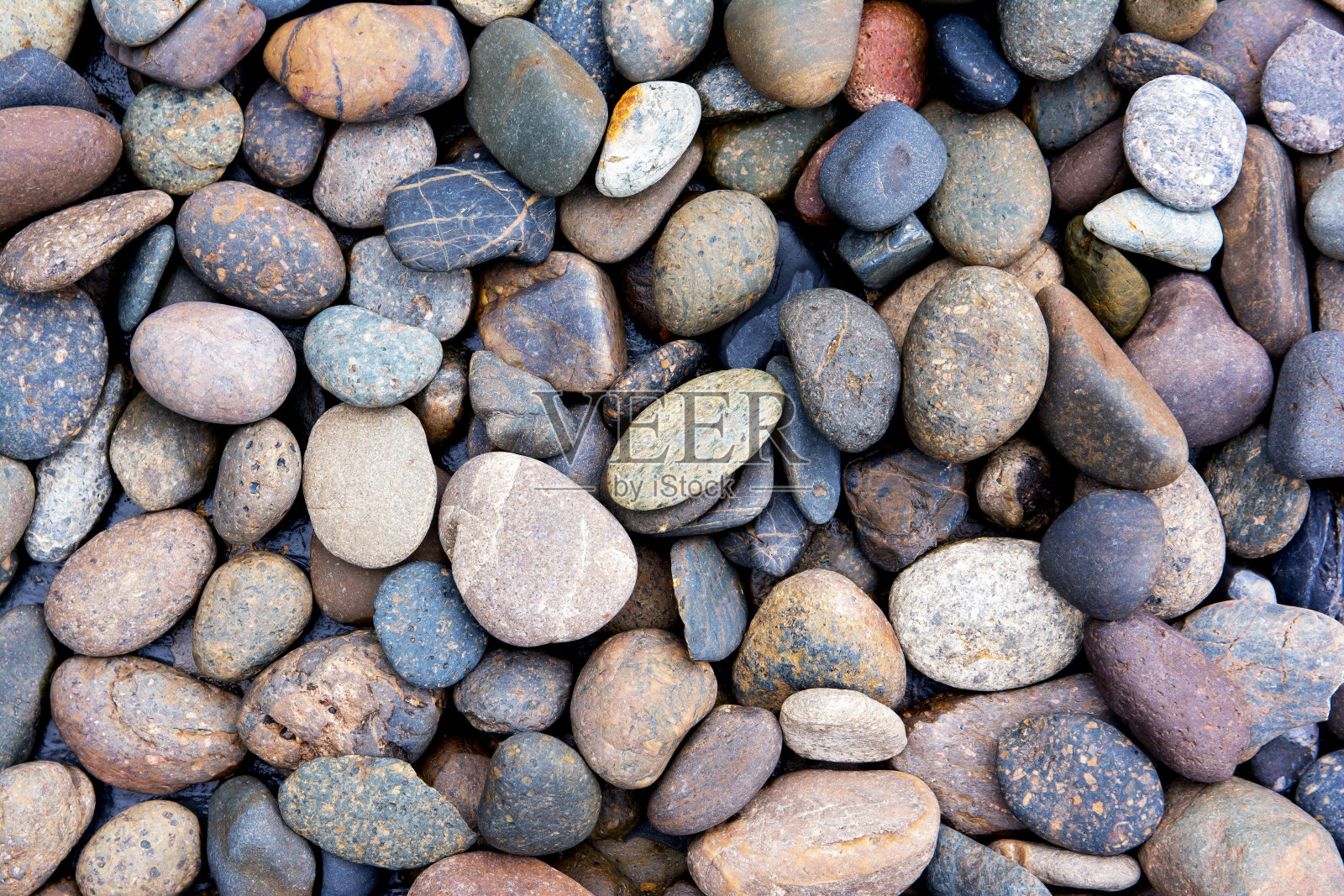 鹅卵石的背景。砾石的背景。五彩缤纷的鹅卵石背景照片摄影图片