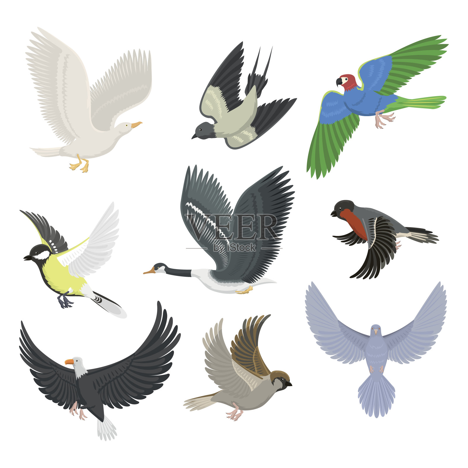 一套不同的飞鸟矢量插图设计元素图片