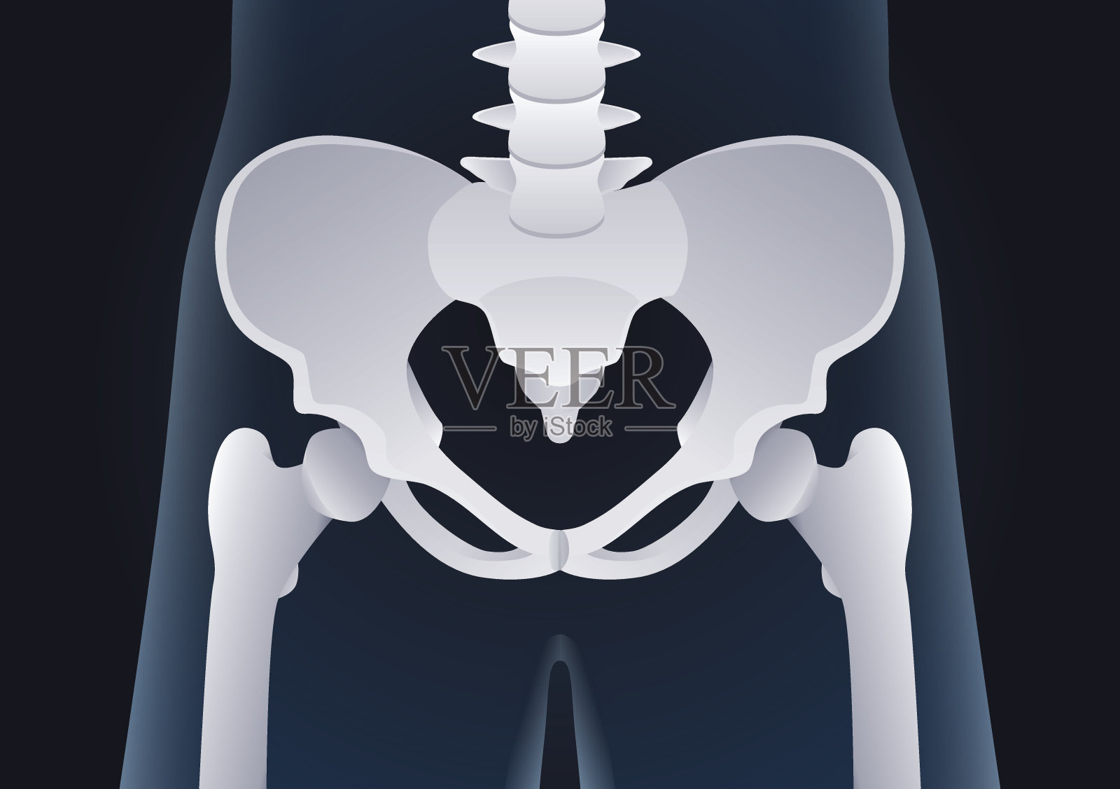 人体骨盆骨的x线概念。插画图片素材