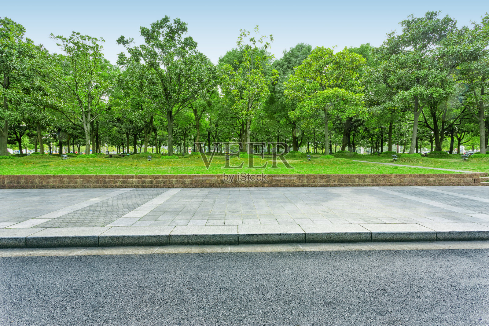 城市道路绿树成荫照片摄影图片