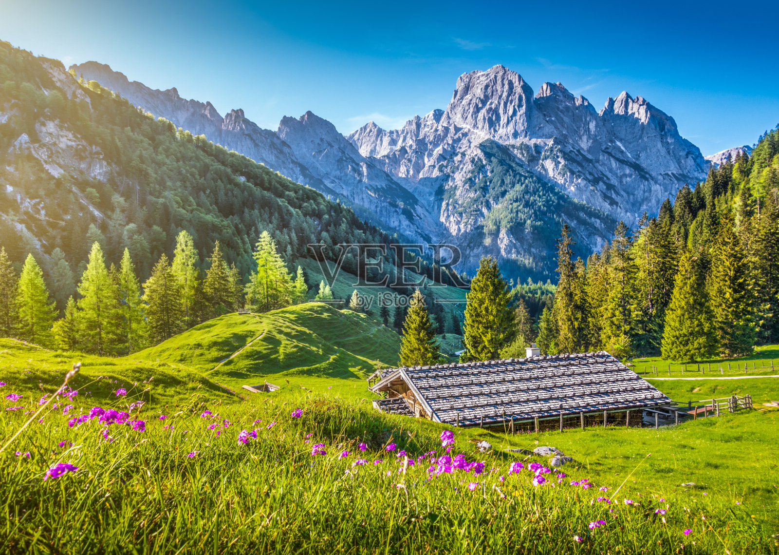 春天阿尔卑斯山的田园风光和山间小屋照片摄影图片