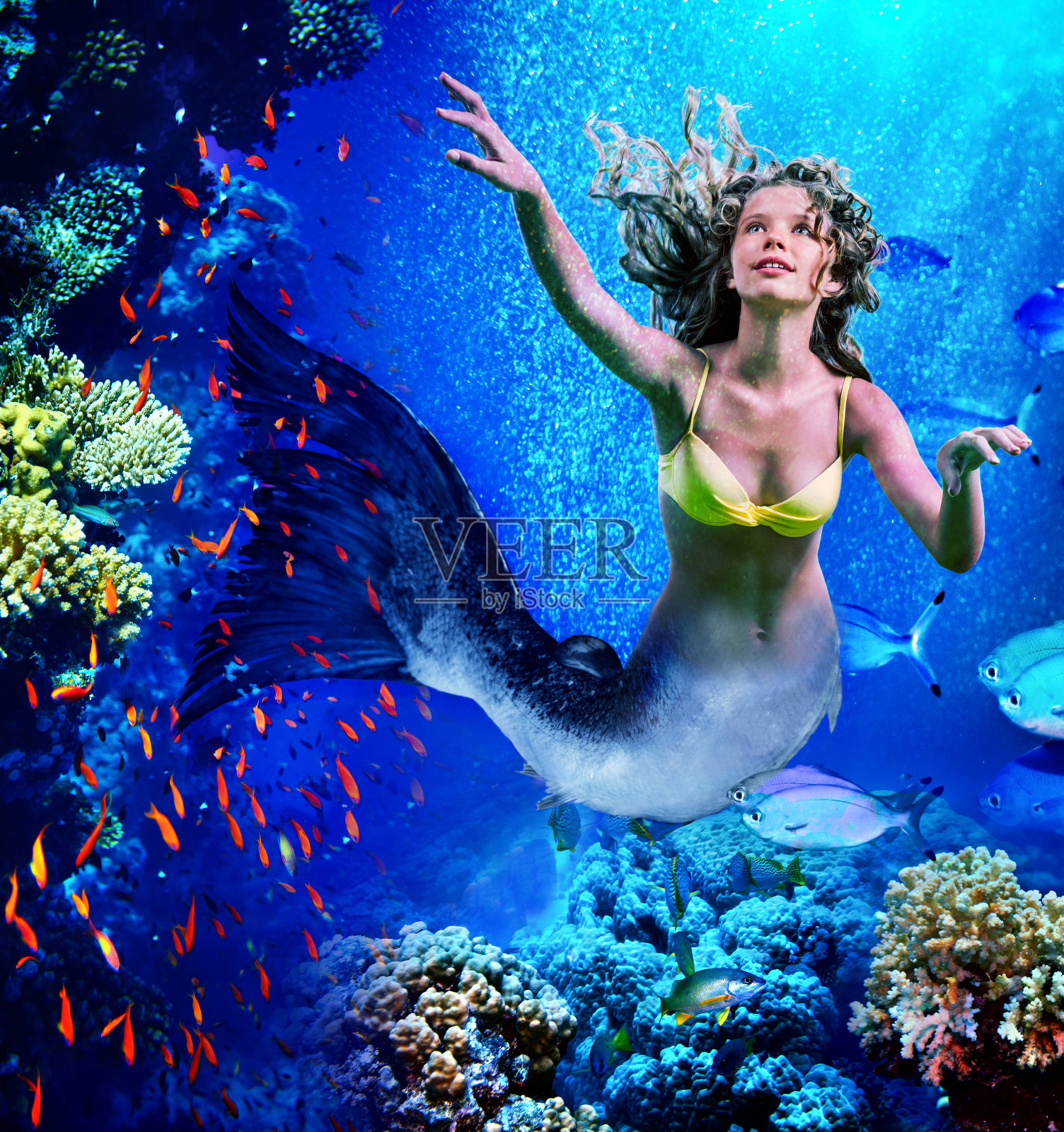 美人鱼潜水穿过珊瑚照片摄影图片
