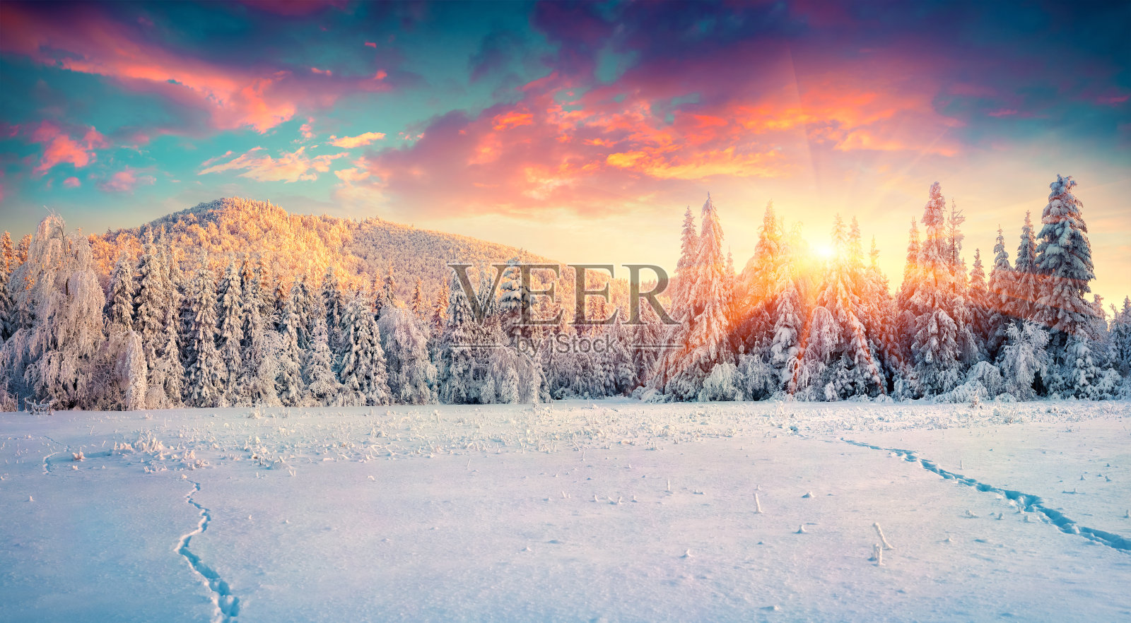 喀尔巴阡山脉五彩缤纷的冬季全景。照片摄影图片