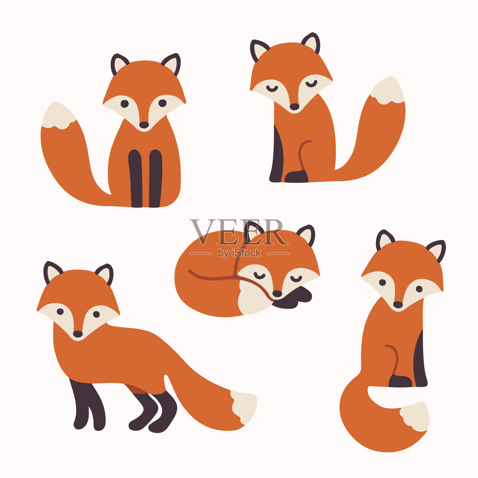 可爱的狐狸集合设计元素图片