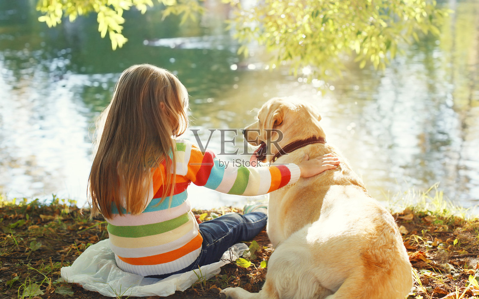 两个朋友，孩子和拉布拉多猎犬坐在阳光下照片摄影图片