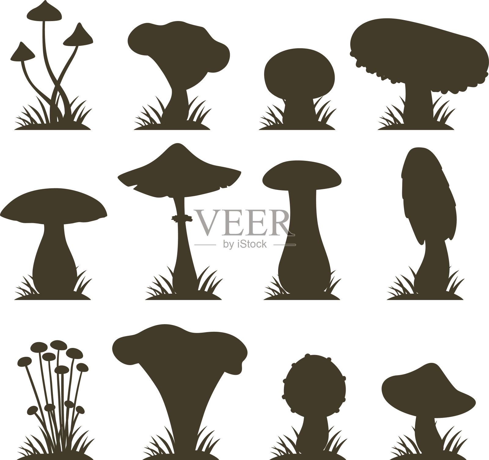 蘑菇矢量插图设置不同的类型孤立在白色背景插画图片素材