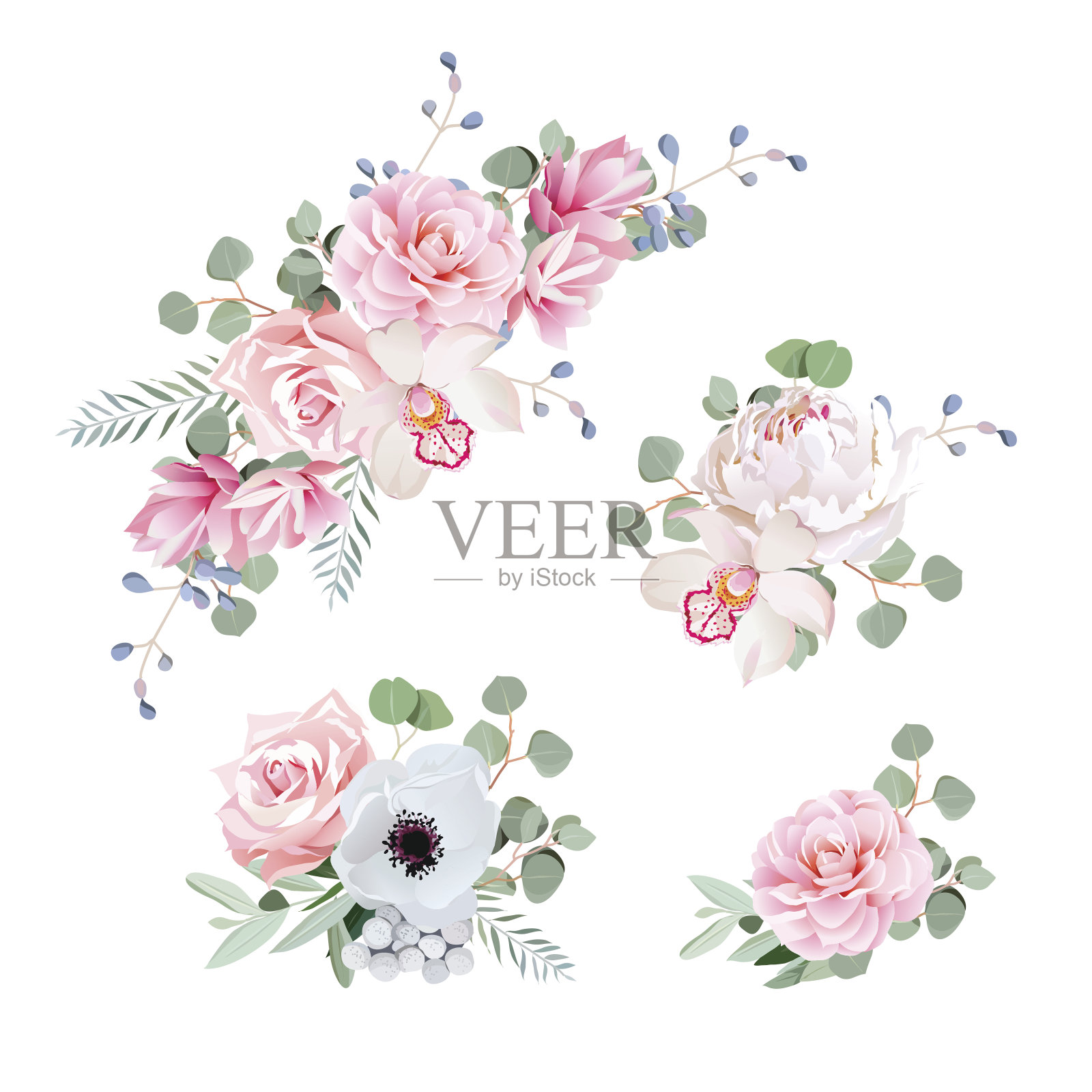 甜蜜的婚礼花束玫瑰，牡丹，兰花，银莲花，茶花插画图片素材