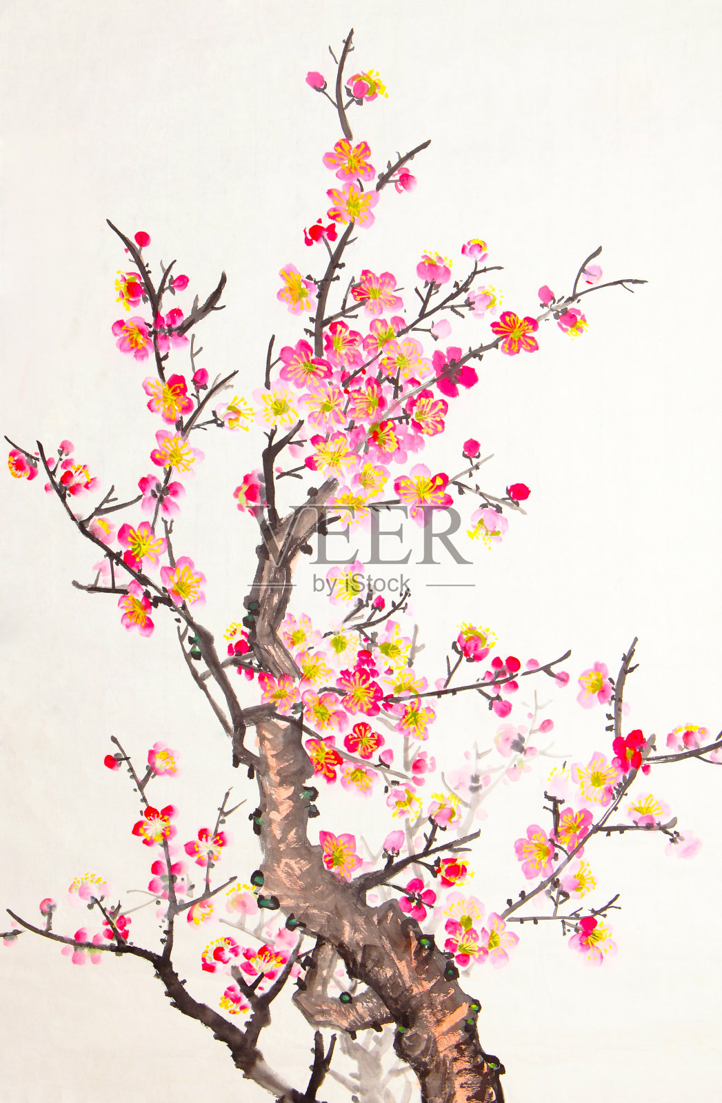 中国画的花，梅花插画图片素材