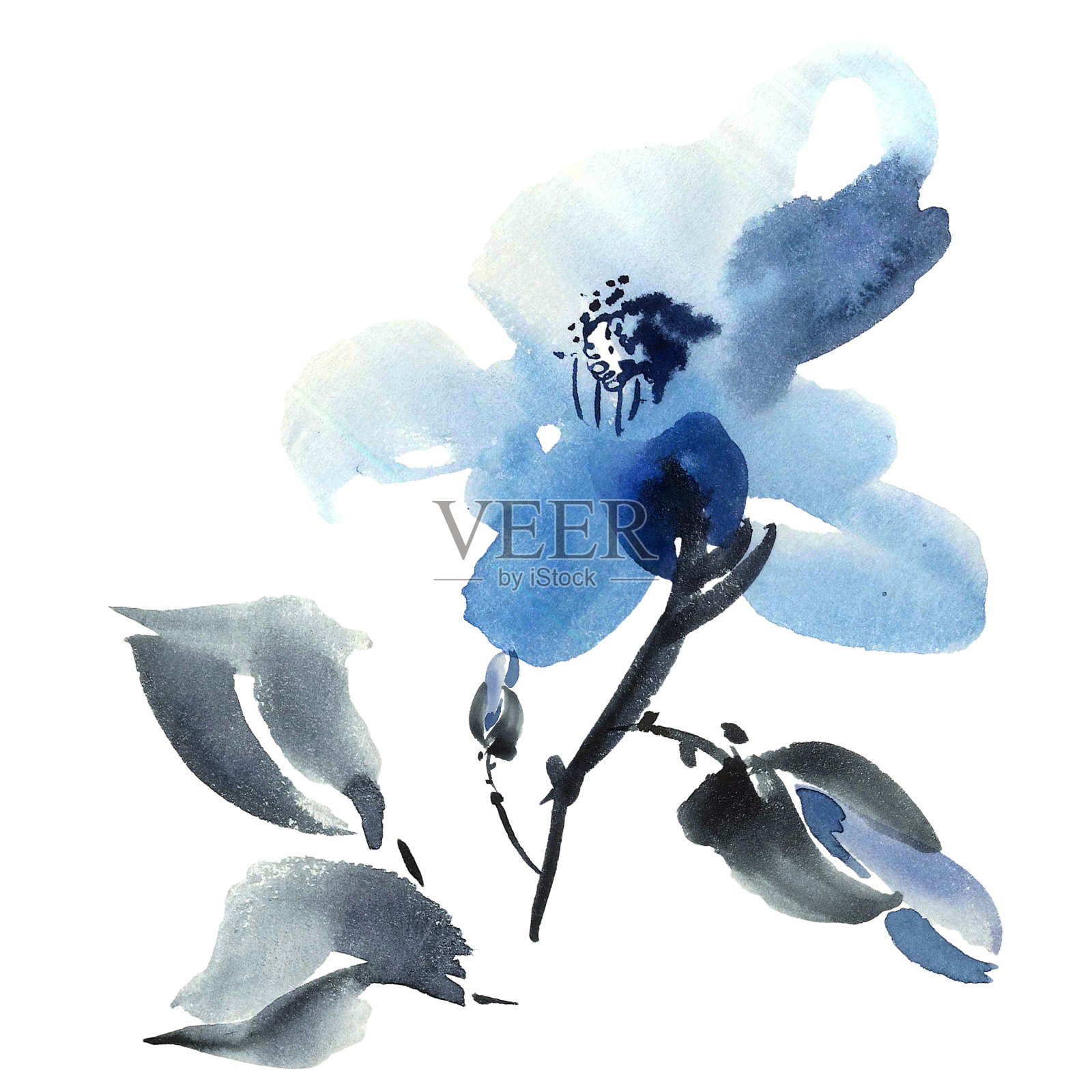 蓝色花朵插图插画图片素材