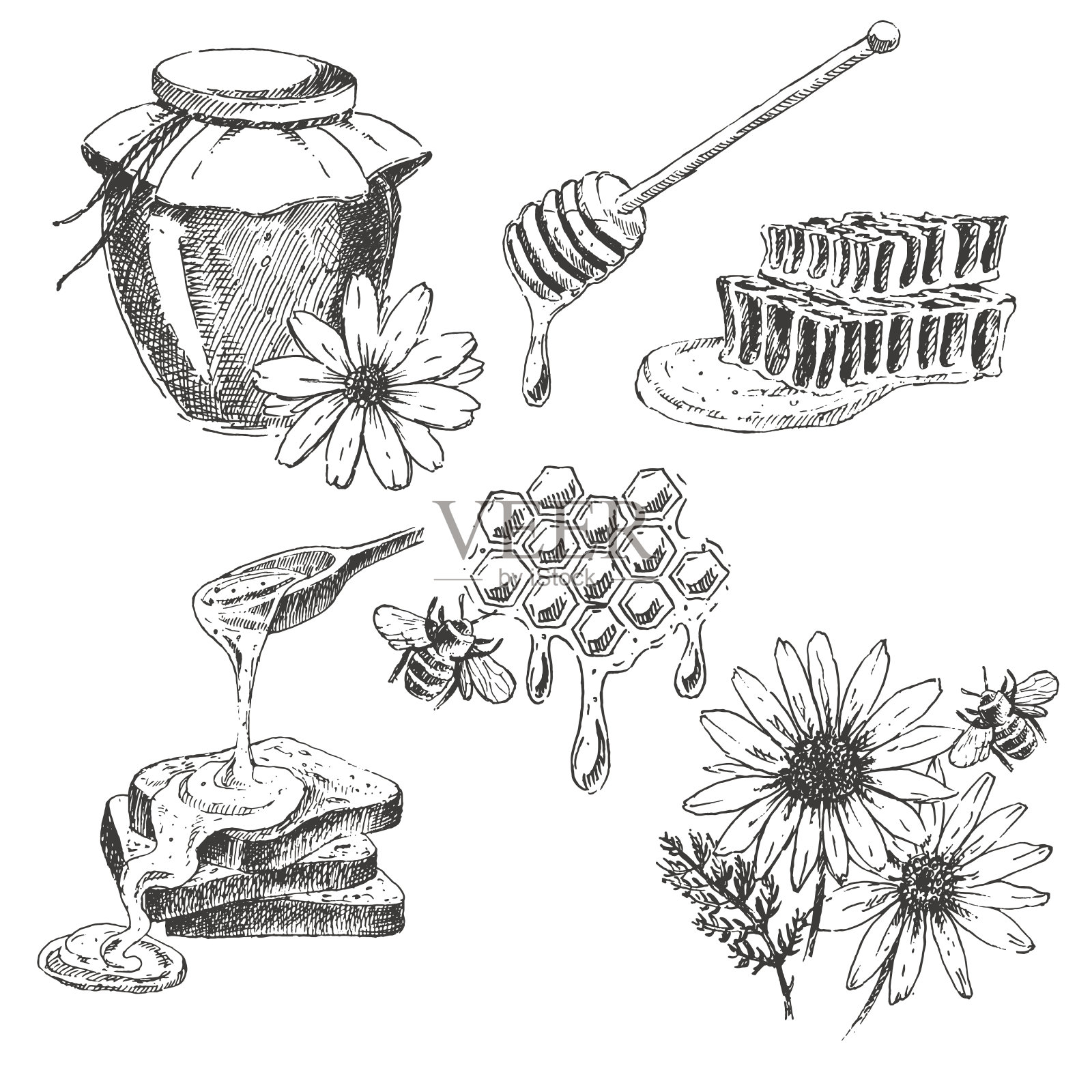 向量蜂蜜元素集。手绘的罐子，勺子，棍子，牢房插画图片素材