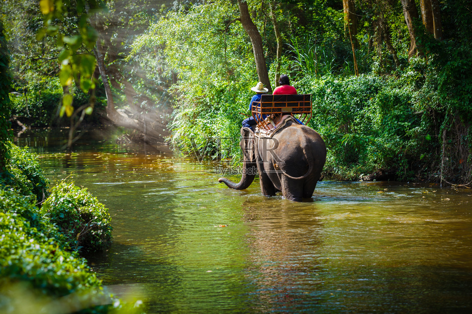 旅行者骑在大象上照片摄影图片