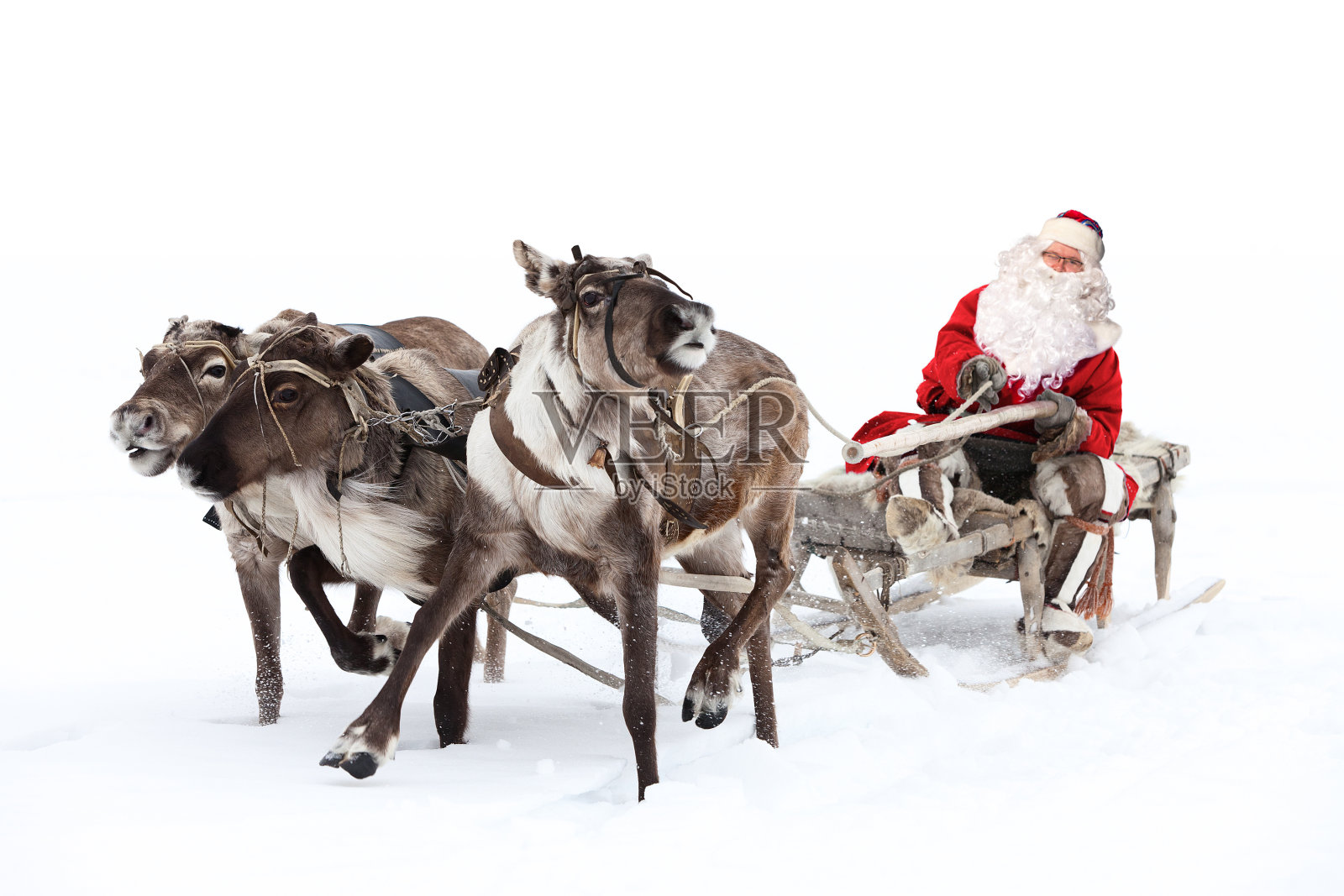 圣诞老人坐在鹿拉的雪橇上照片摄影图片
