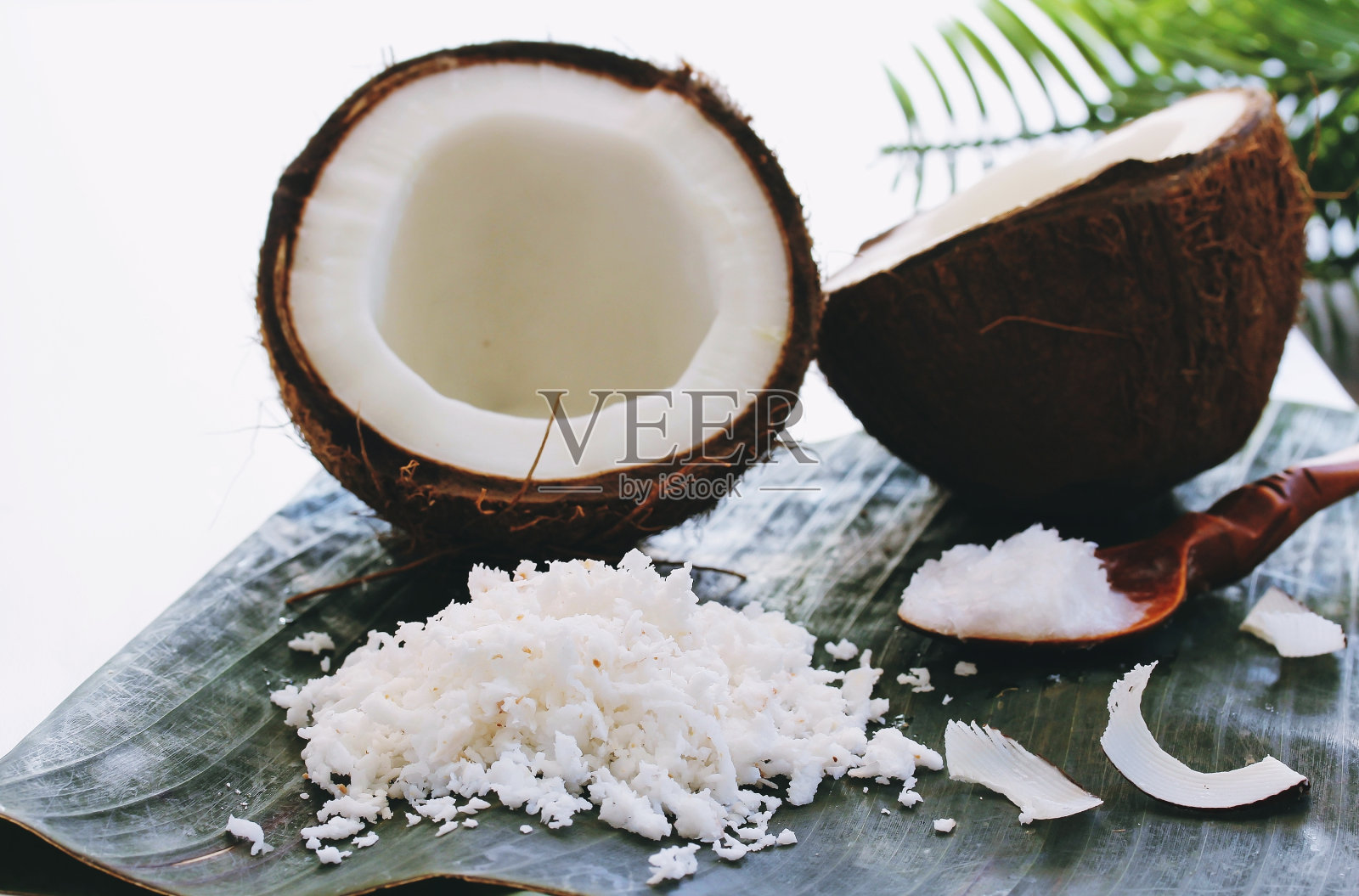 新鲜椰子，椰子油和椰子的静物照片摄影图片