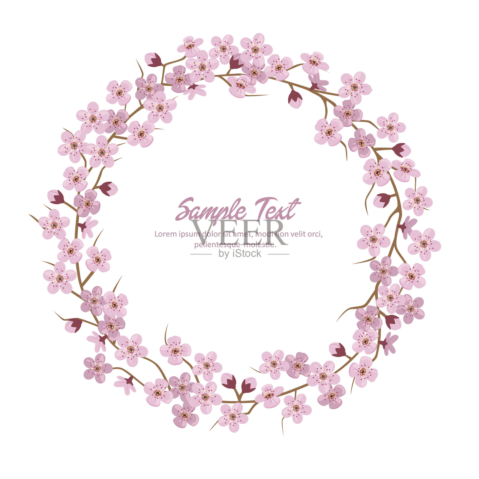 樱花花花环。樱花轮框架。插画图片素材