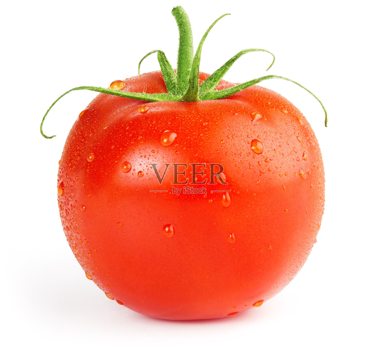 白色背景上的湿番茄照片摄影图片