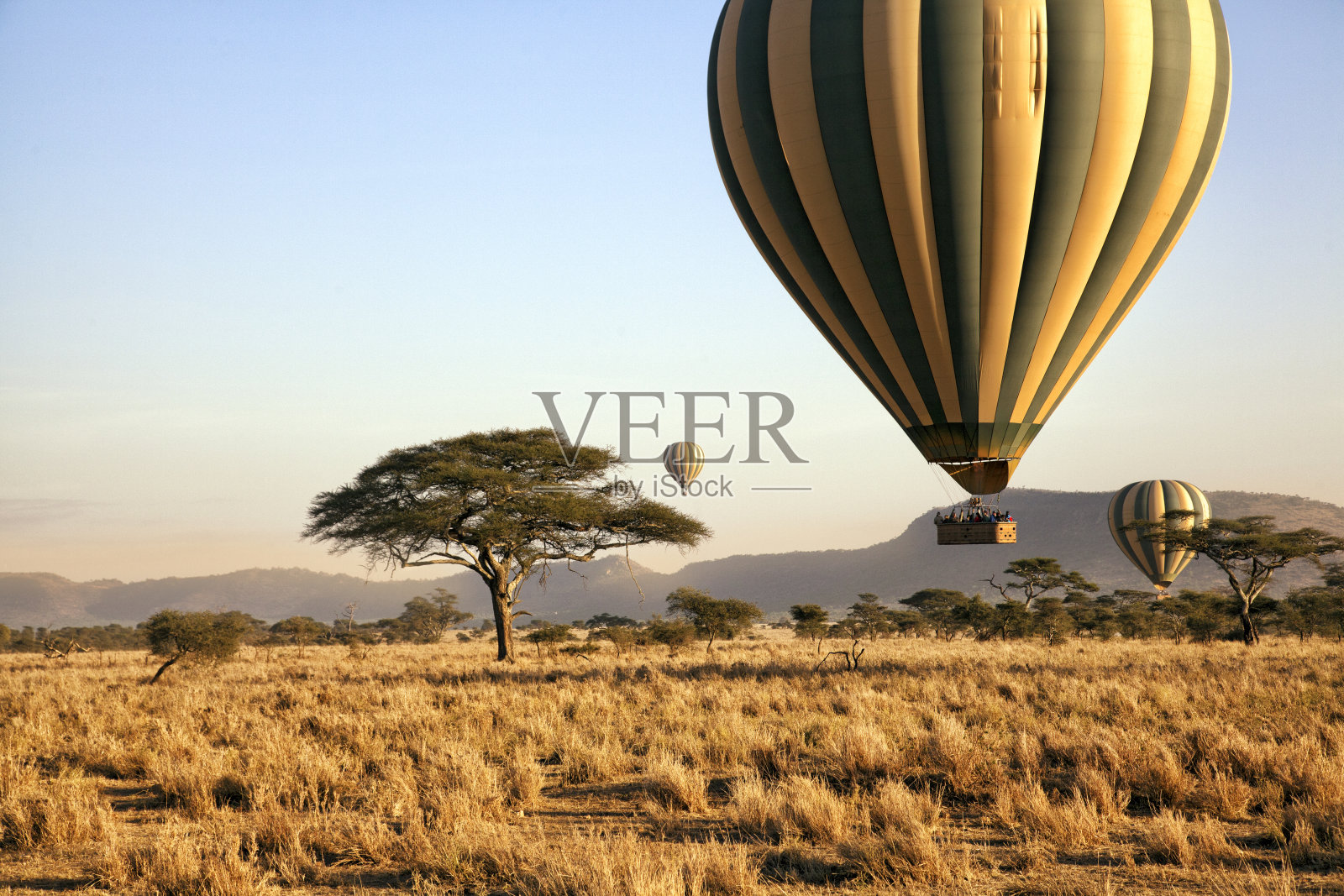 乘坐气球飞越坦桑尼亚的塞伦盖蒂平原照片摄影图片