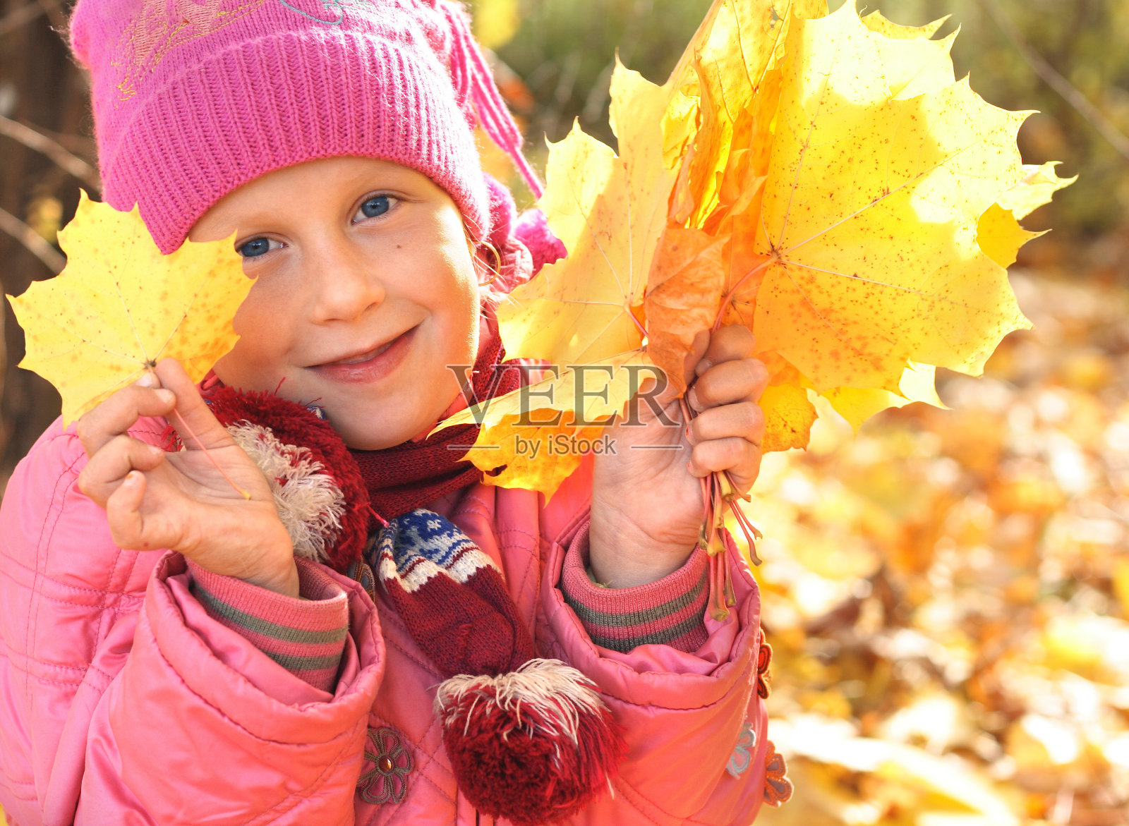 小女孩拿着黄色的枫叶照片摄影图片