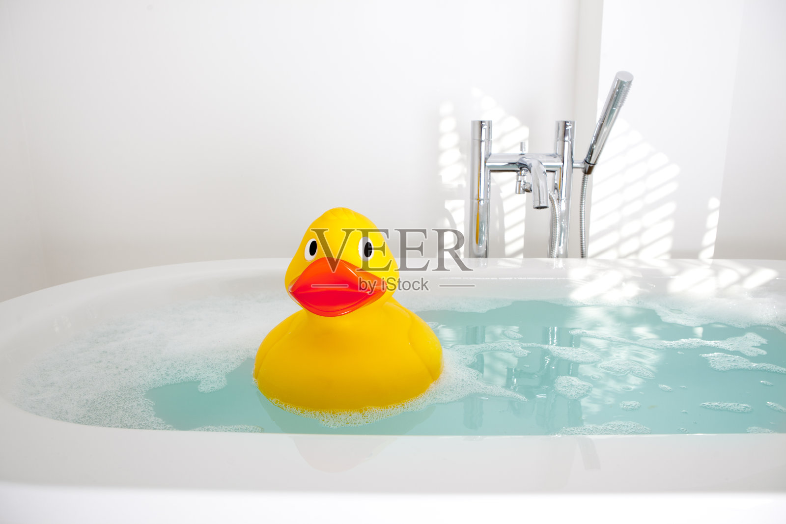 洗澡的鸭子照片摄影图片