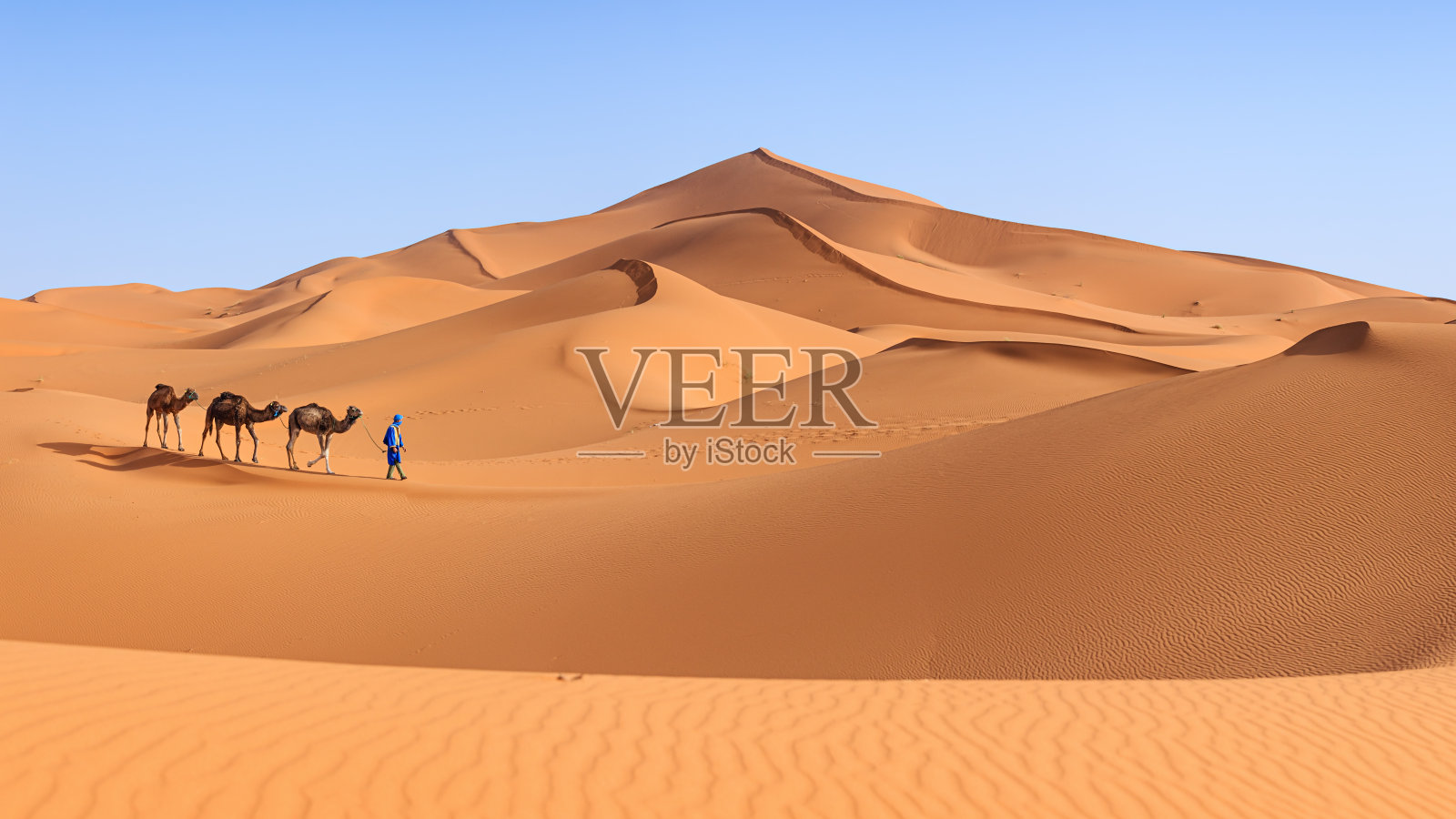 非洲西撒哈拉沙漠，年轻的图阿雷格人骑着骆驼照片摄影图片