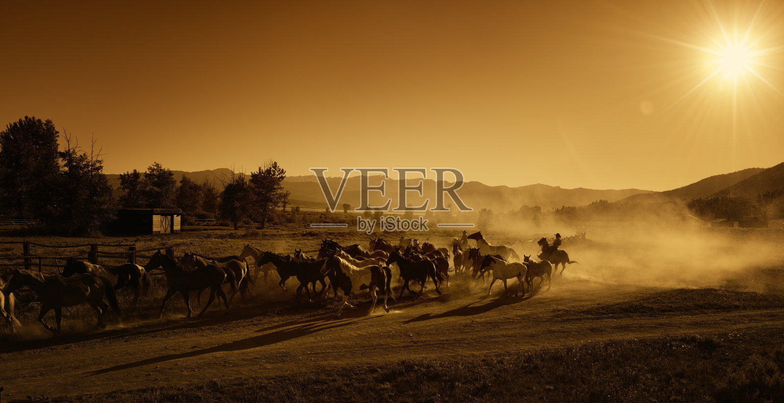 牛仔赶马到牧场在黄昏-日落照片摄影图片