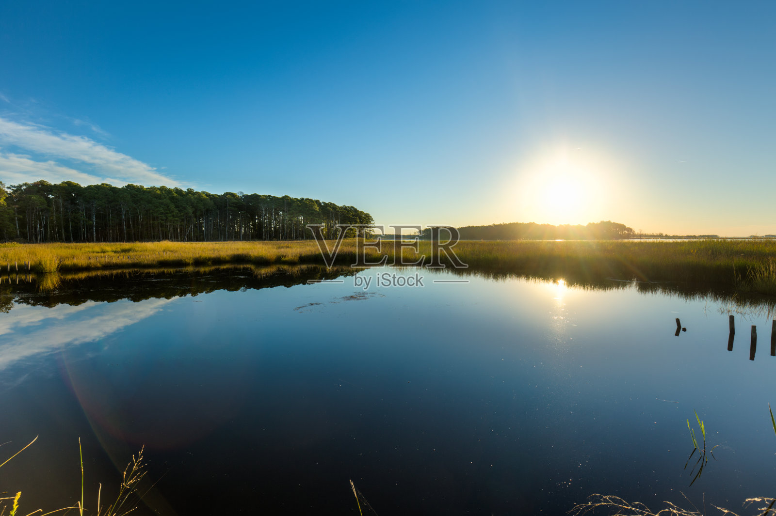 黑水国家野生动物保护区的日出和对水的反思照片摄影图片