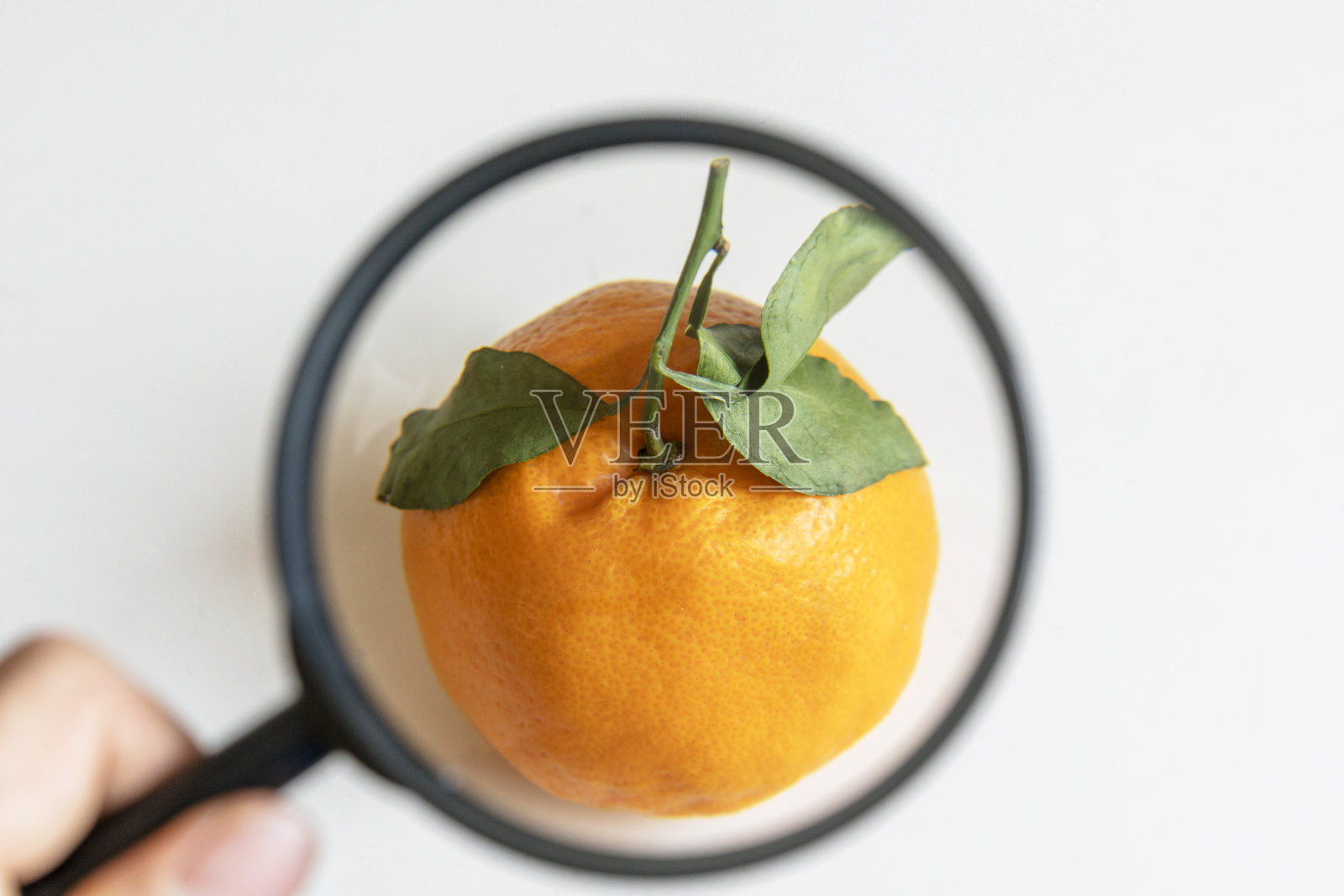 用放大镜看着一个橙子照片摄影图片