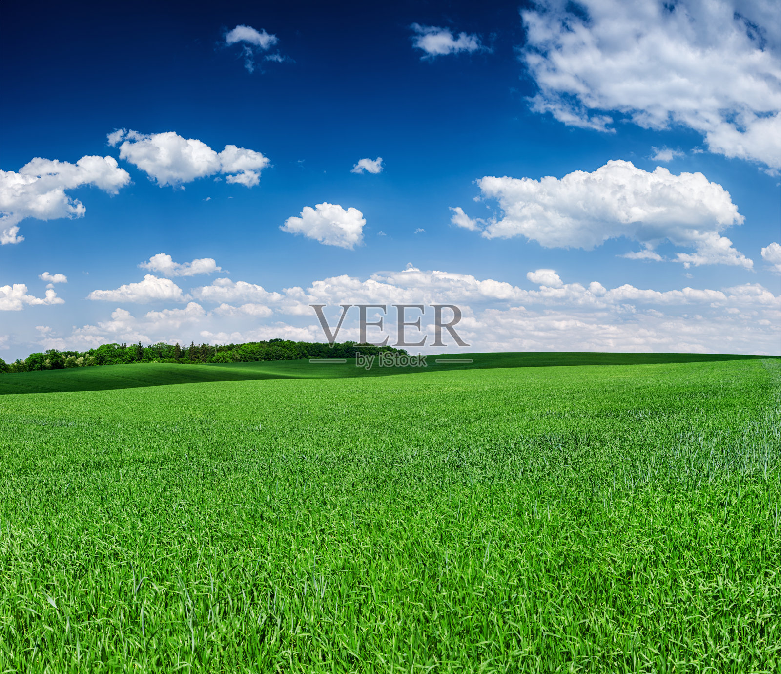 全景春天景观，xxxxl69mpix绿色的田野，蓝色的天空照片摄影图片