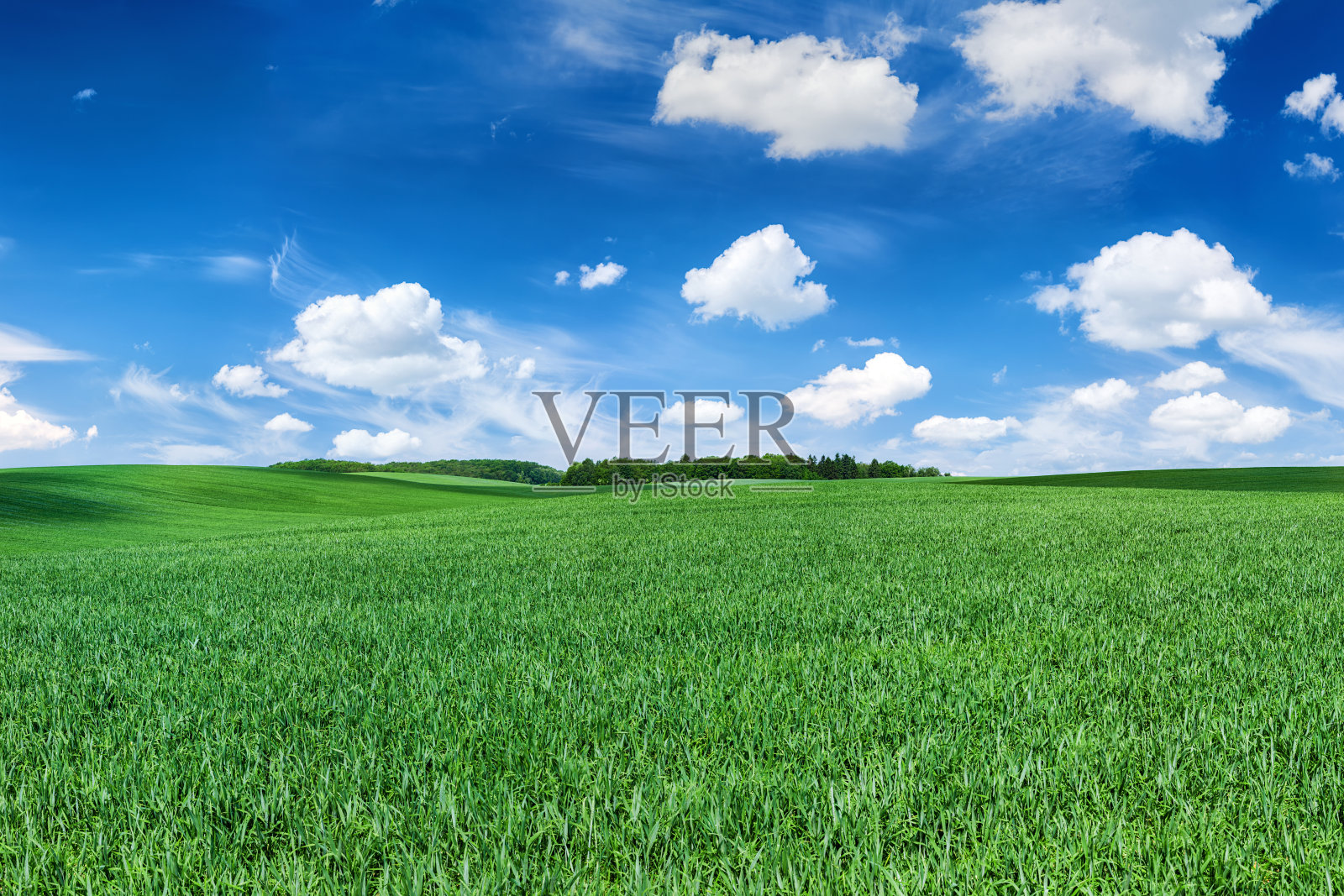 全景春天景观83MPix XXXXL -绿色的田野，蓝色的天空照片摄影图片