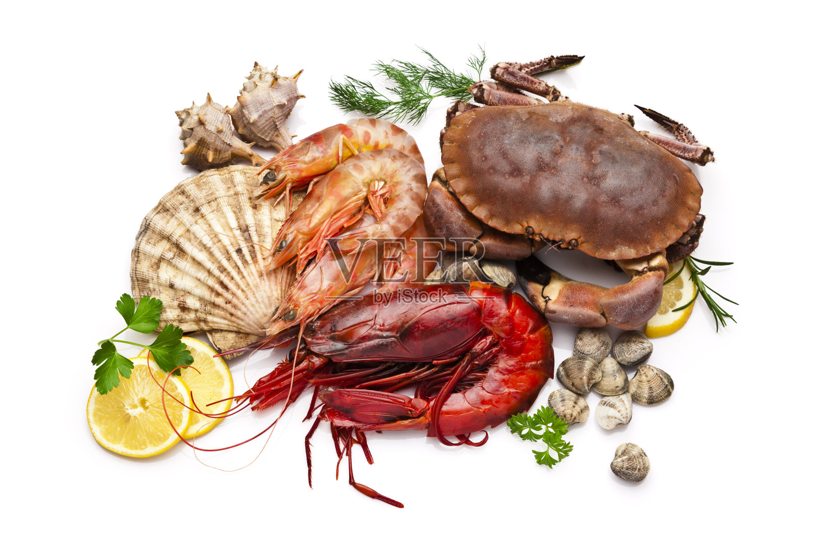 海鲜:蛤、扇贝、对虾、虾、蟹照片摄影图片