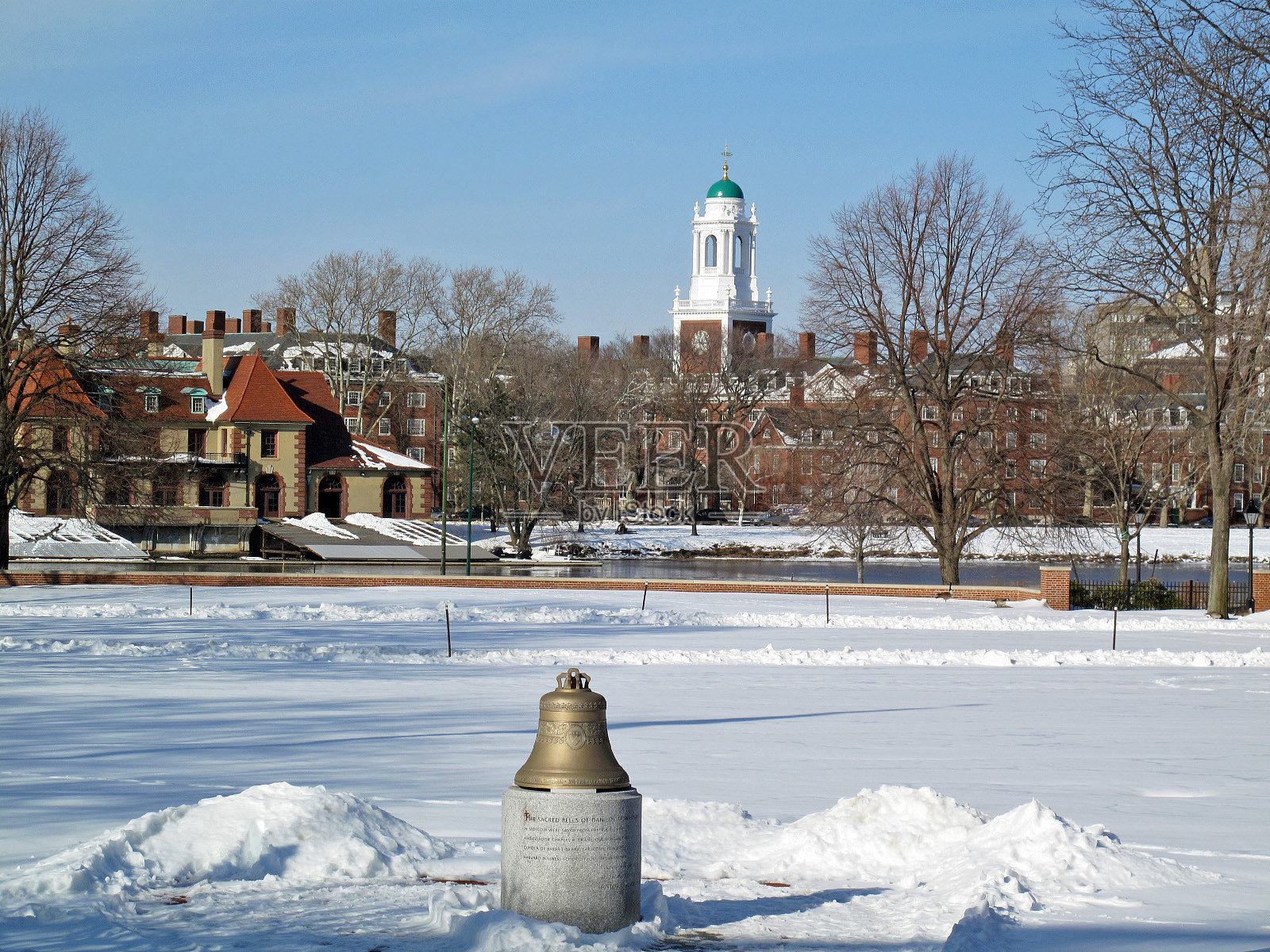 冬天的哈佛大学照片摄影图片