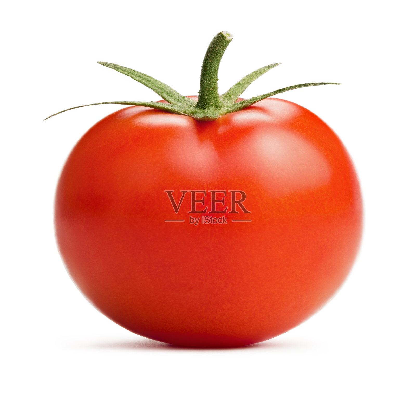 番茄照片摄影图片
