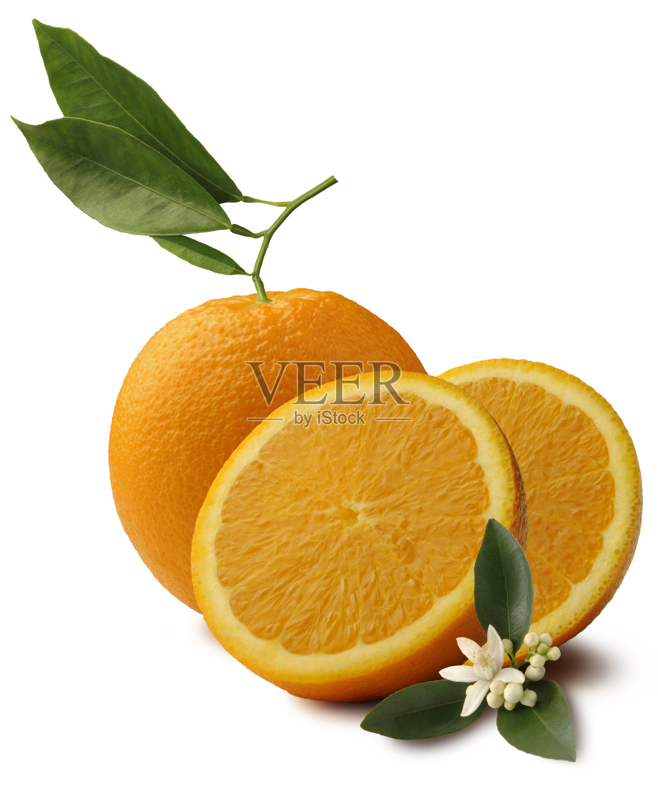 新鲜的橙子照片摄影图片