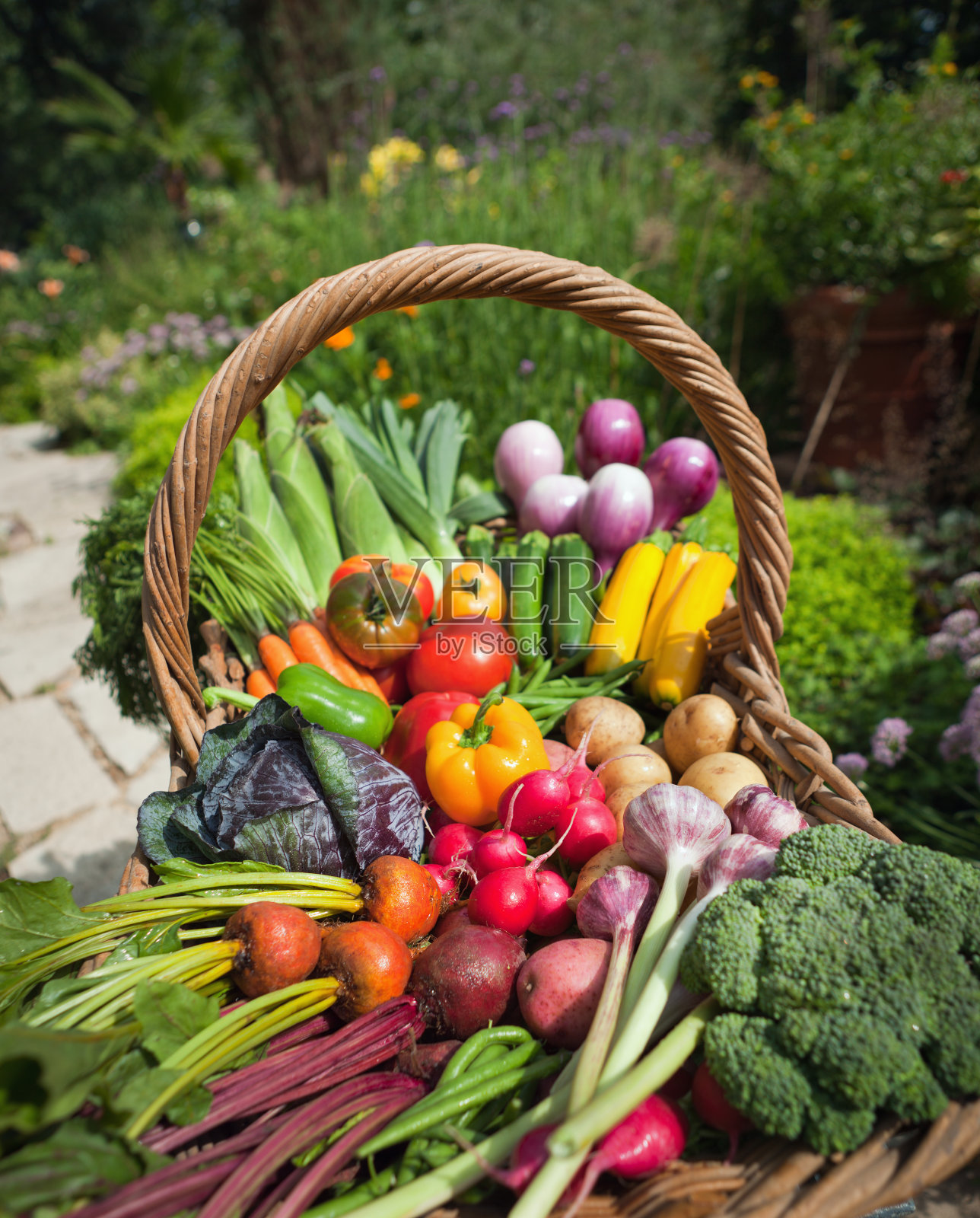 有机蔬菜园社区园艺新鲜产品照片摄影图片