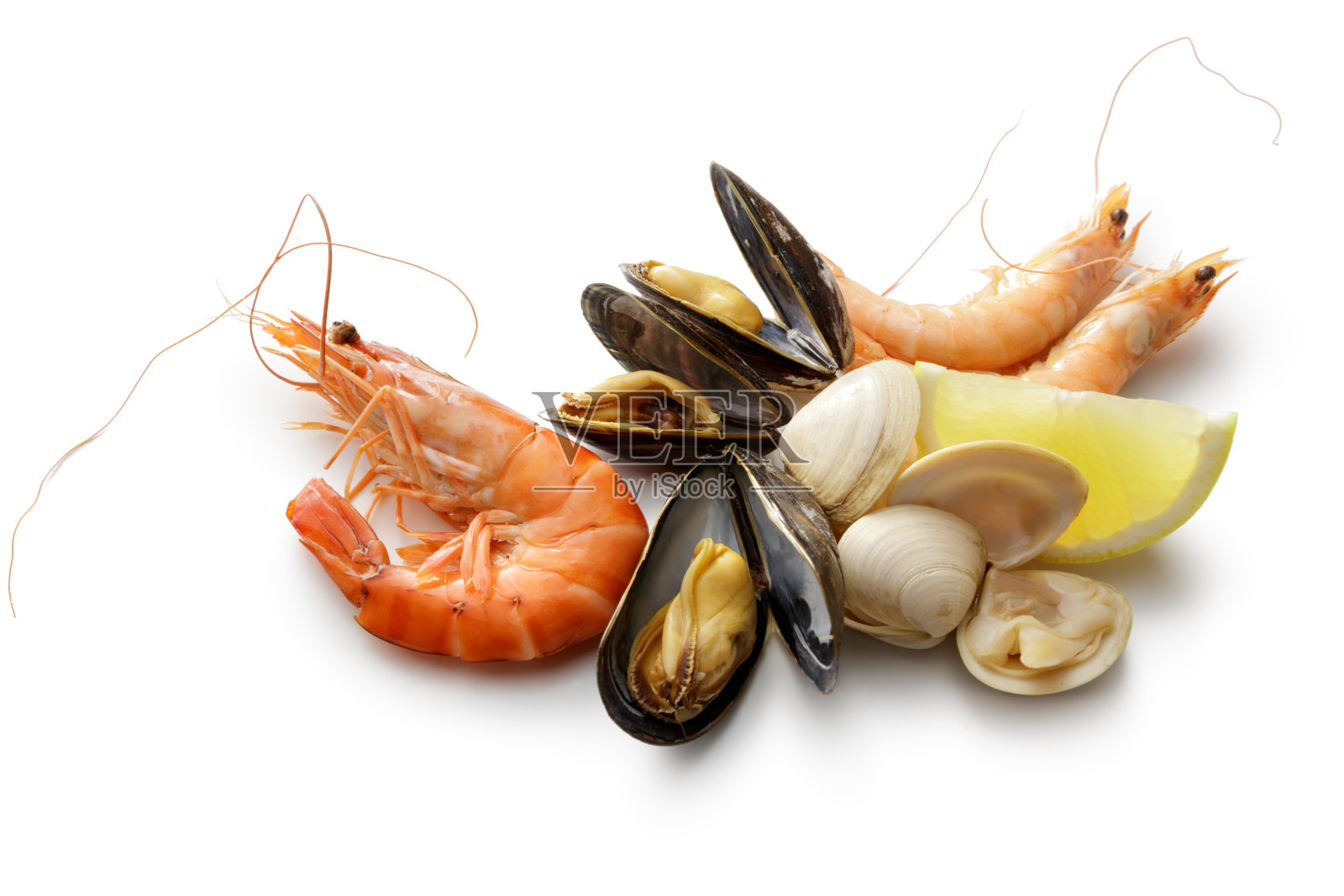海鲜:虾，对虾，贻贝和蛤蜊孤立在白色的背景照片摄影图片