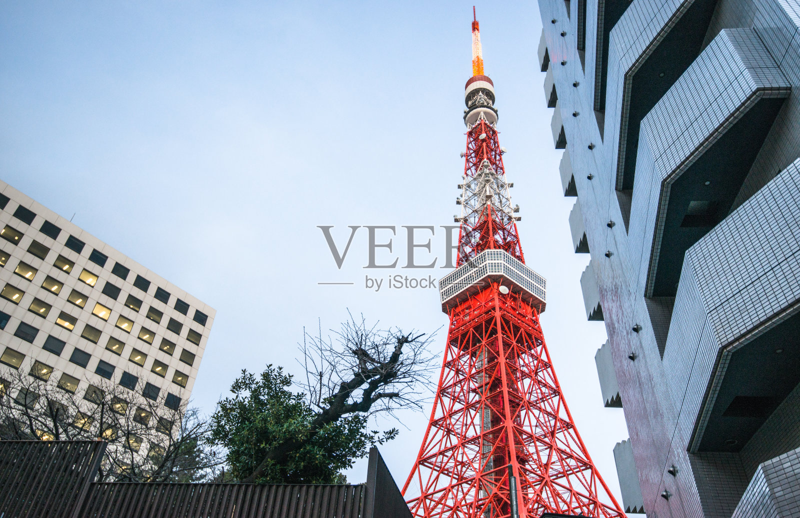 东京塔夜景-日本照片摄影图片