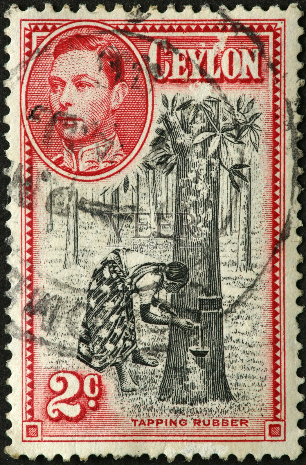 橡胶树在旧锡兰邮票上敲打照片摄影图片
