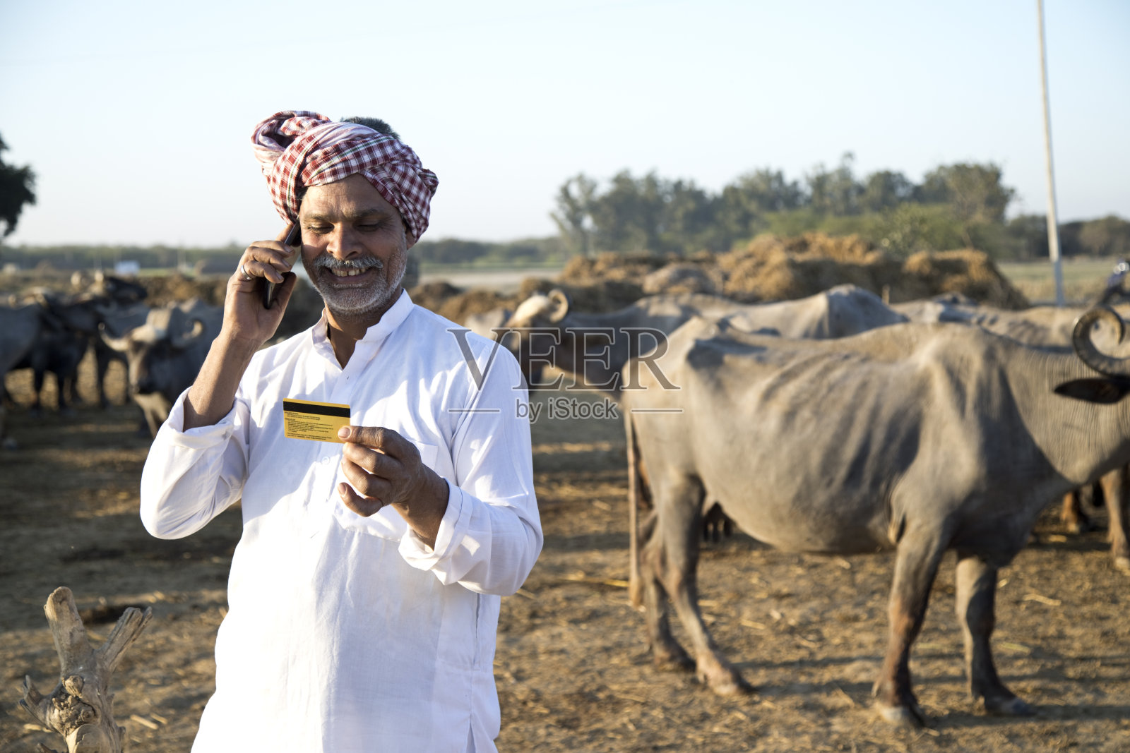 牧羊人使用信用卡和手机照片摄影图片