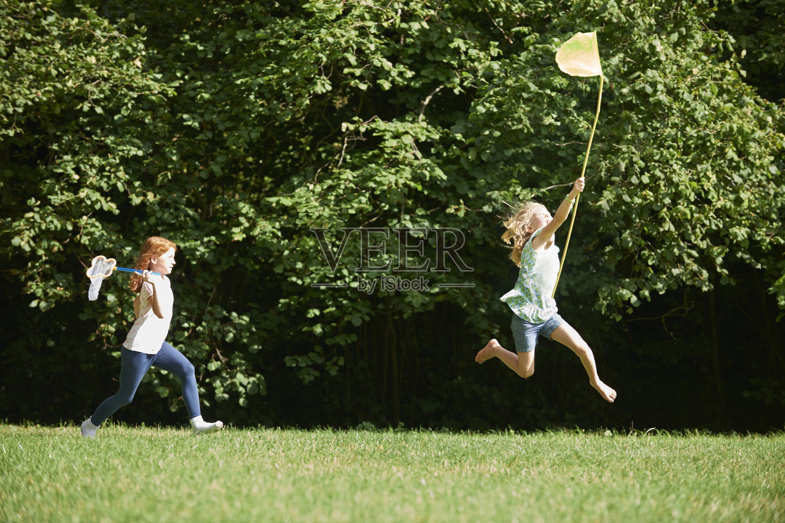 两个女孩在夏日的田野里追逐蝴蝶照片摄影图片