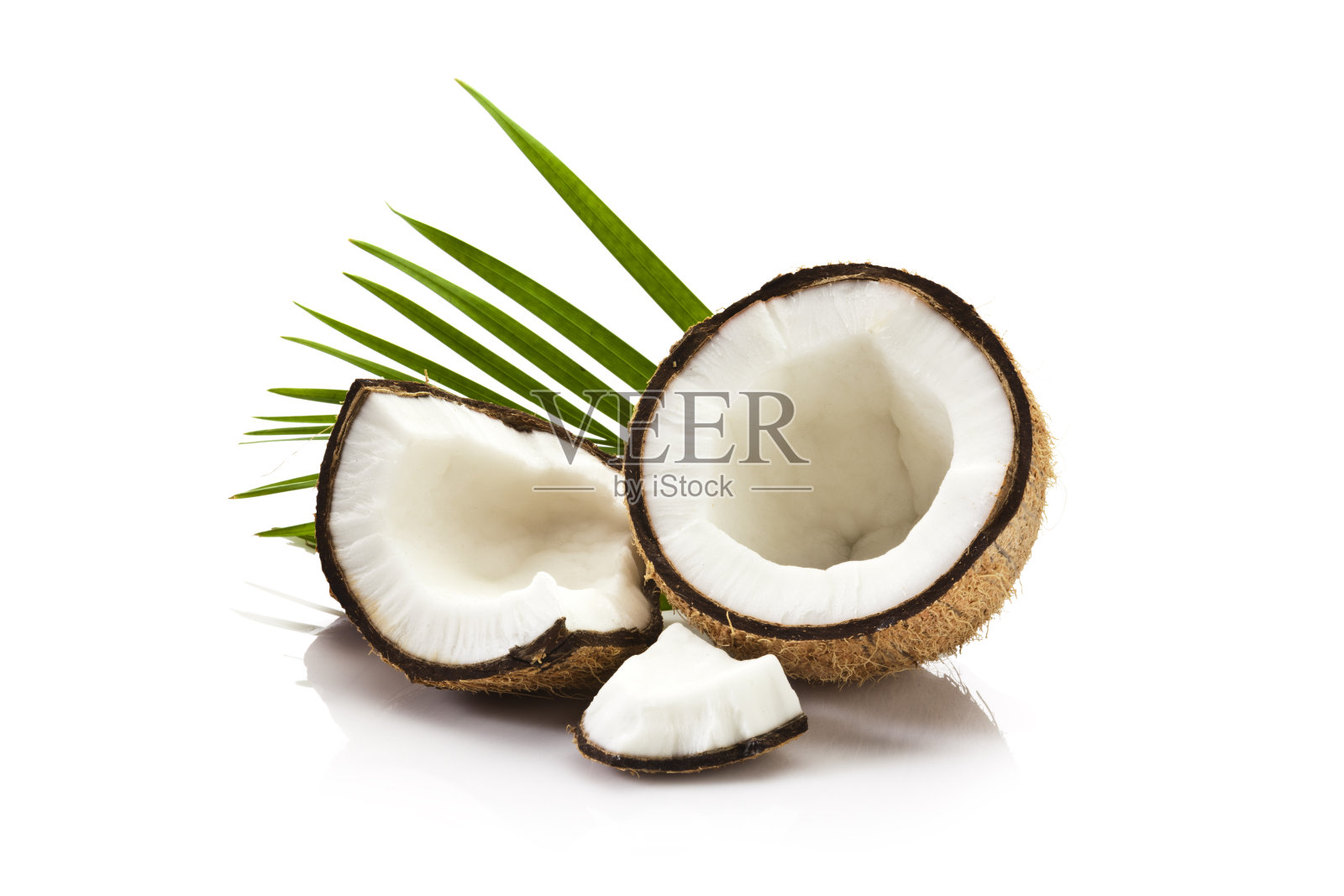在白色背景上孤立的椰子果照片摄影图片