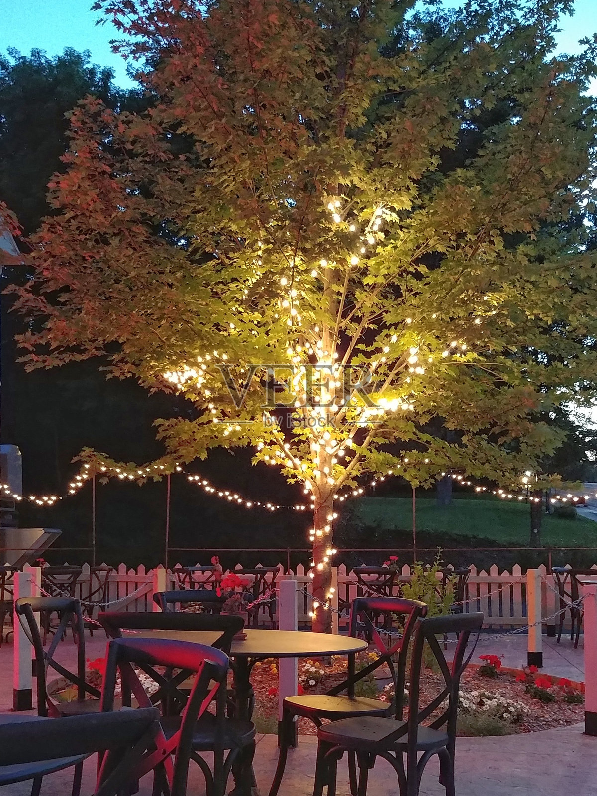 浪漫的户外餐厅小酒馆座位，Stringlights，树，尖桩篱笆，黄昏照片摄影图片