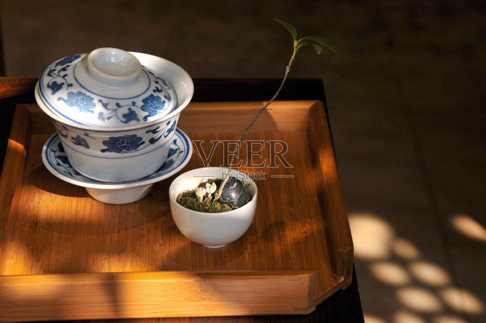盆景和茶壶照片摄影图片