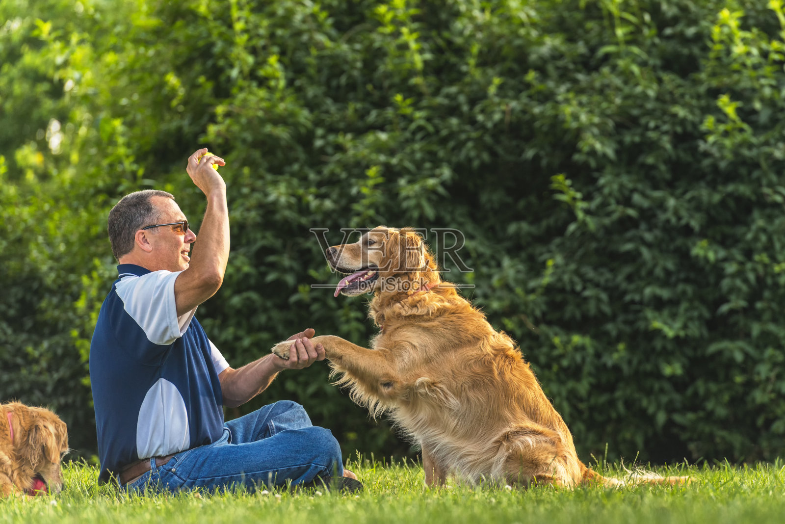 日落时分，一个男人在抚摸他的狗照片摄影图片