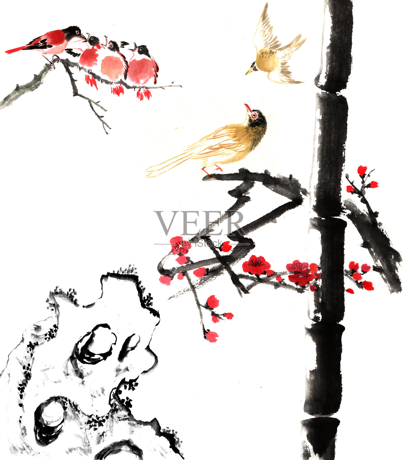 竹与梅开花，石与鸟插画图片素材