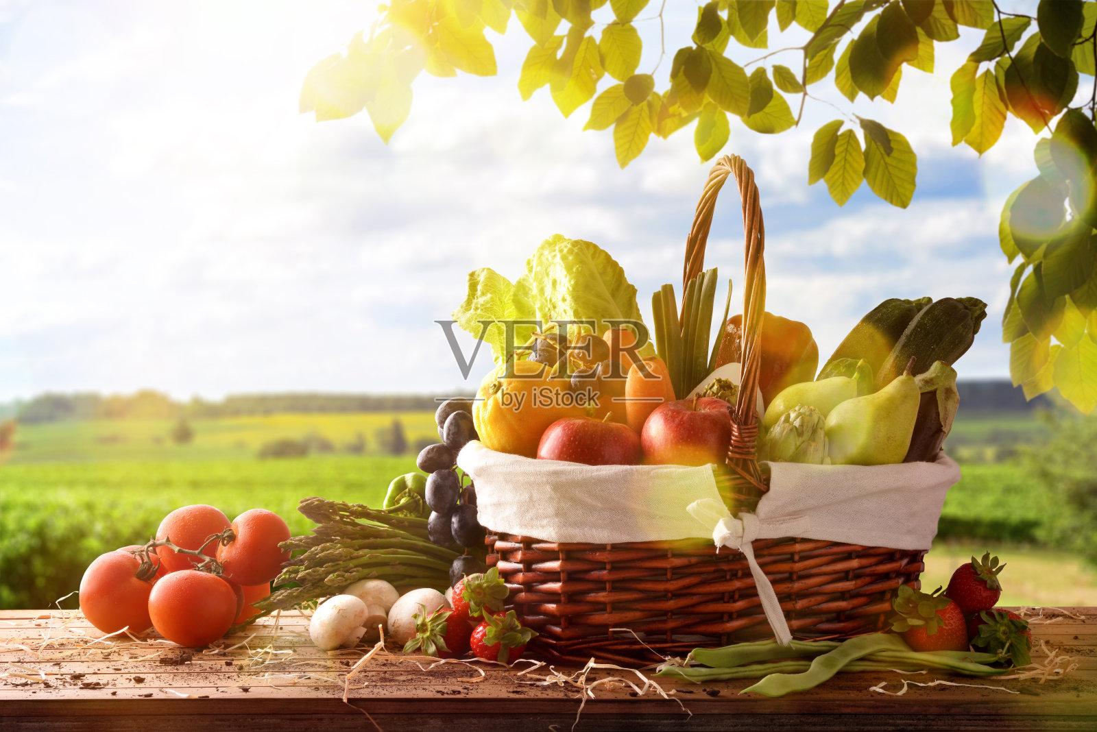 水果和蔬菜餐桌和作物景观背景照片摄影图片