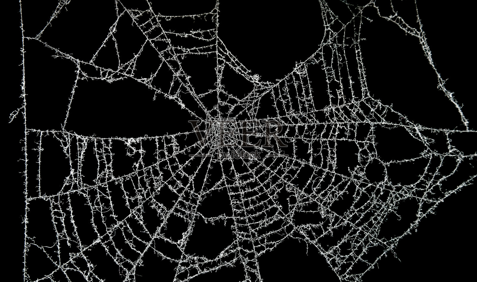 尘土飞扬的蜘蛛网照片摄影图片