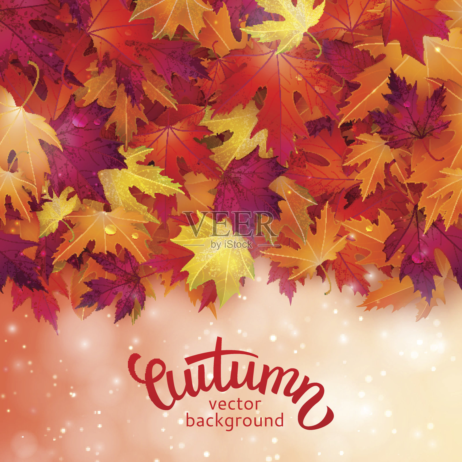 矢量背景与多彩的秋叶，卡片模板，自然的背景插画图片素材