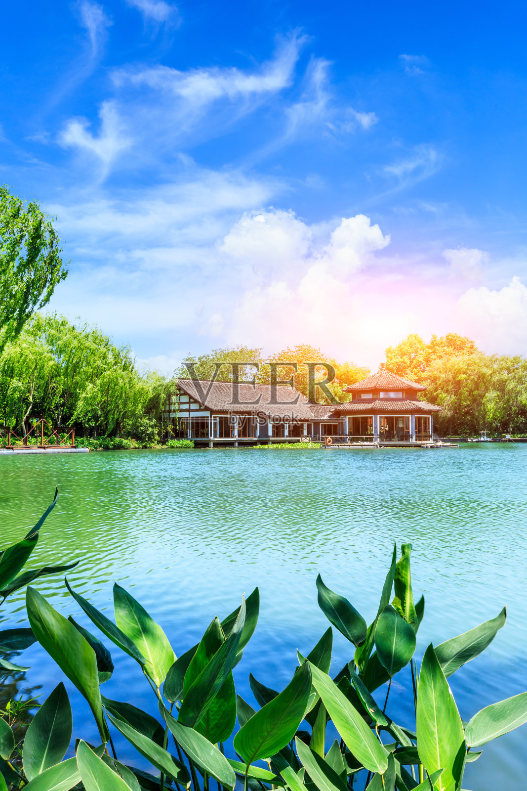 美丽的夏日杭州西湖花园照片摄影图片