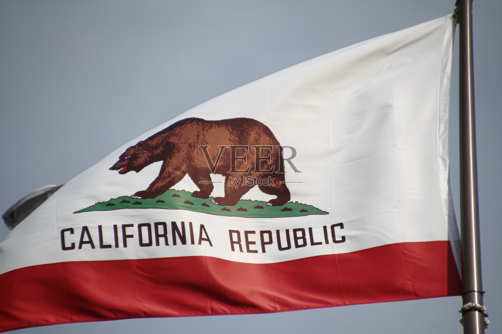 加州国旗上的大熊。照片摄影图片