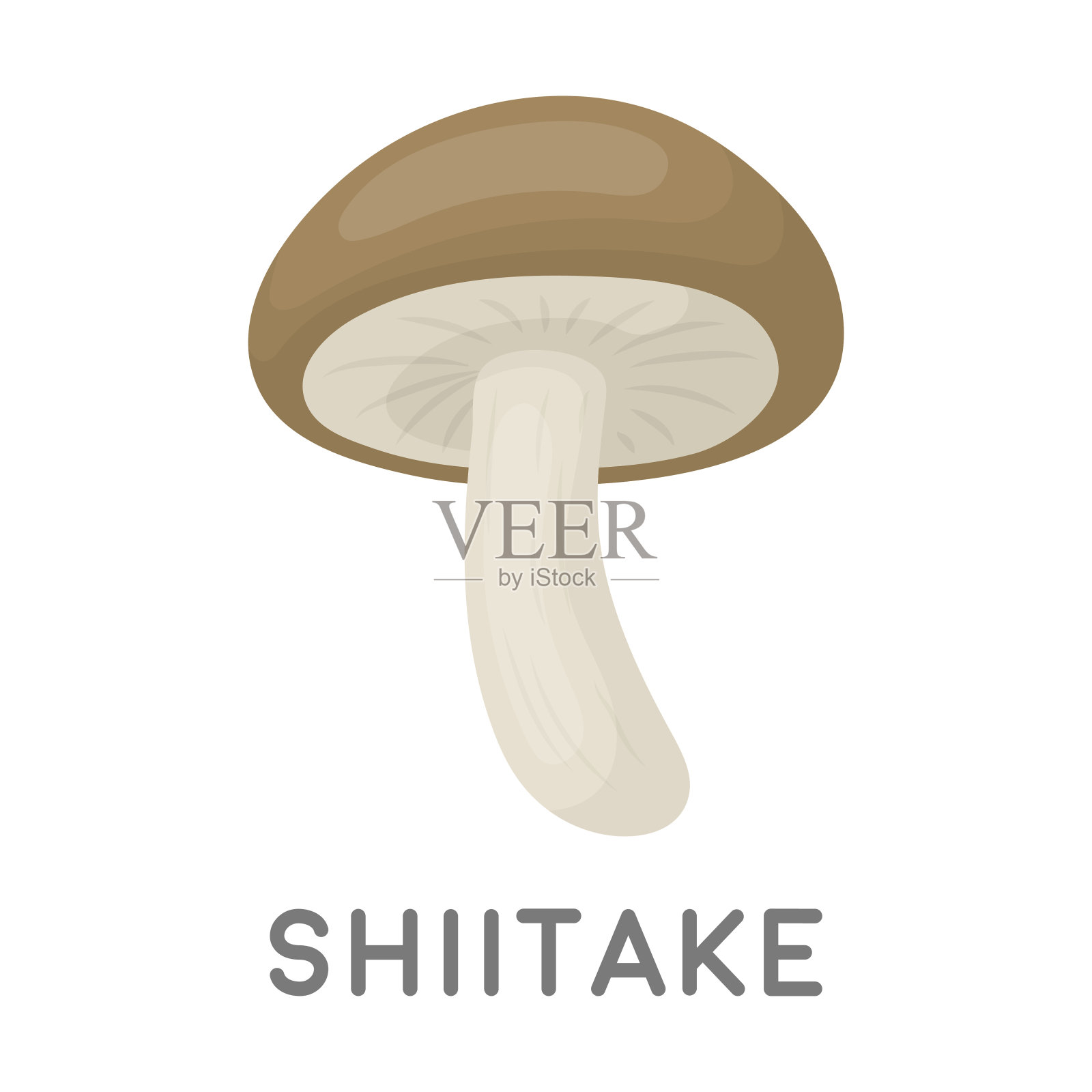 卡通风格的香菇图标孤立在白色的背景。蘑菇符号股票矢量插图。插画图片素材